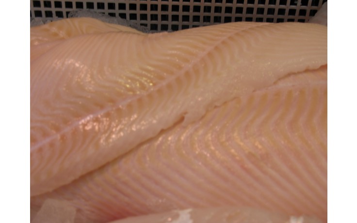 filet de flétan 