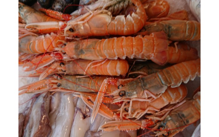 Langoustine
