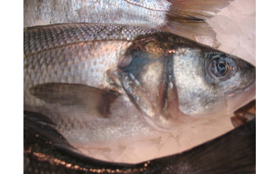 Bar de ligne 700/1000 kg