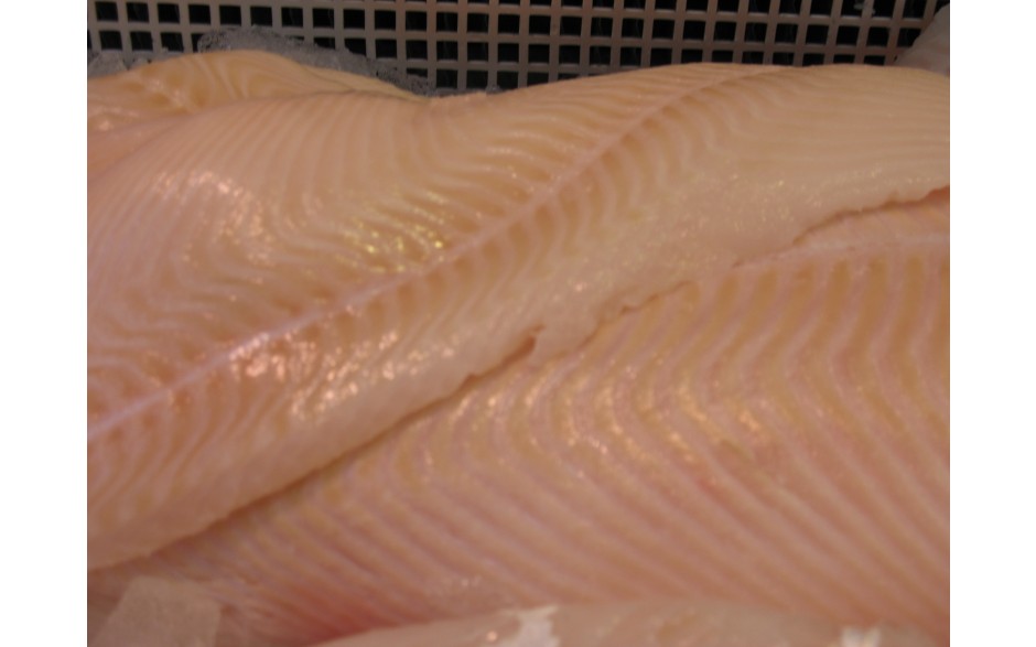 filet de flétan 