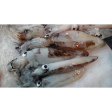 Encornets