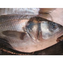 Bar de ligne 700/1000 kg